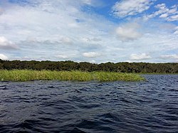 Lake Pithlachocco Canoe Site.jpg