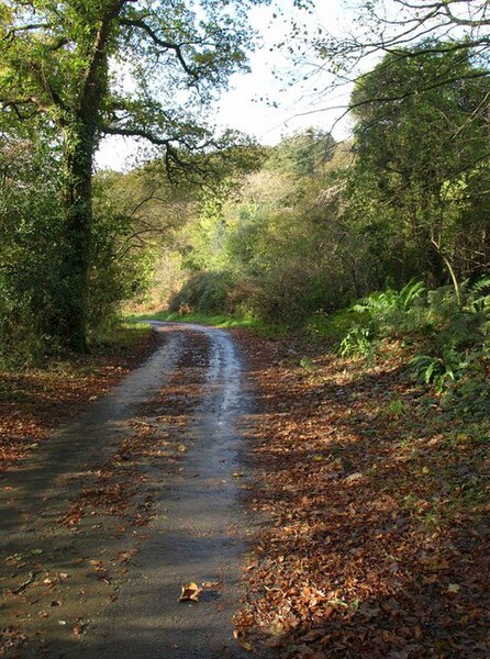 File:Lane at Bottle Hill - geograph.org.uk - 1575575.jpg