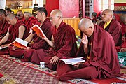 Grand Prayer in Soma Gompa in Leh / Ladakh, India