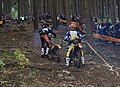 87. ISDE Steep Hill Hormersdorf