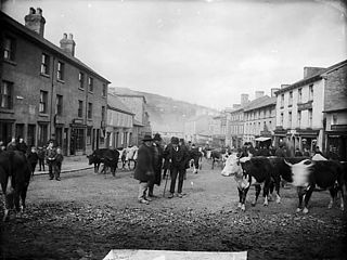 Llanidloes fair (1881)