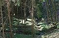 Zusammenfluss von Sauklinge-Bach und Bleichsee-Abfluss Confluence of Sauklinge creek and Bleichsee outflow