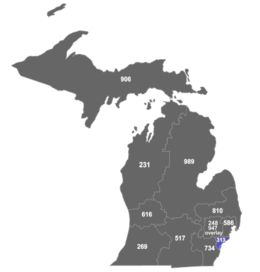 Map of Michigan area codes MI area code 313.png