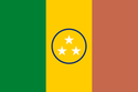 Manapiare - Drapeau