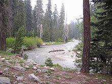 The Marble Fork of the Kaweah River, in Sequoia National Park Marble Fork Kaweah Forest.jpg