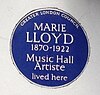 Marie Lloyd plate.jpg