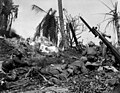 Kwajalein Island Battlefield