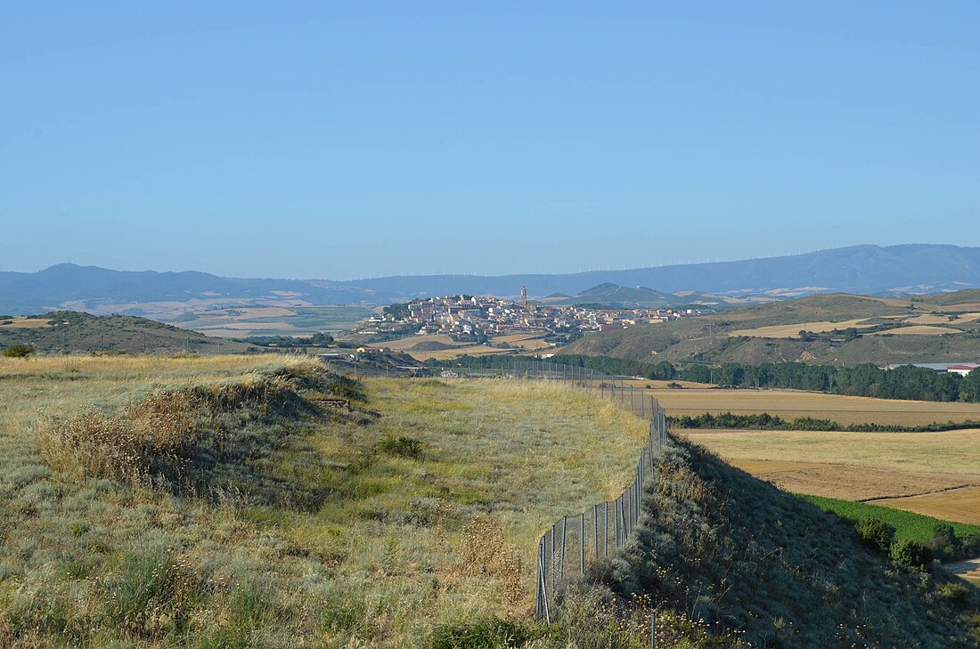 Mendigorría (Navarra)