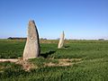 Les deux menhirs de l'alignement de Saint-Denec 1.