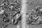 Miniatuur voor Bestand:Menselijke beenderen Skeletten en doodshoofden massamoord chinezen, Bestanddeelnr 330-2-3.jpg