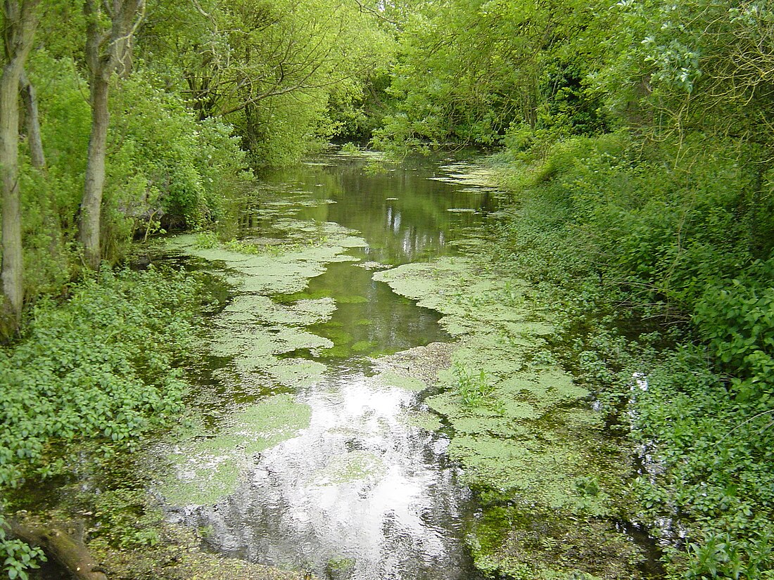 River Meon