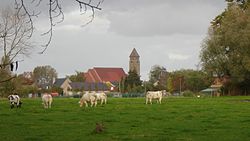 Skyline de Meulebeke.jpg