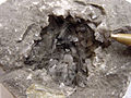 Millerite - USGS Mineral Specimens 769.jpg