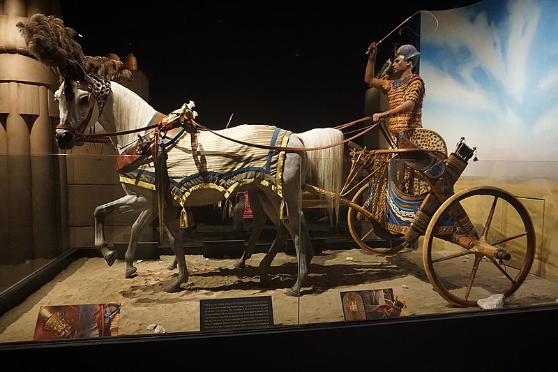 File:Milwaukee Public Museum November 2022 165 (Crossroads of Civilization--Tutankhamun- The Icon and the Individual).jpg