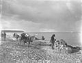 Miners landing their supplies on the beach at Teller, Alaska, ca 1900 (HEGG 243).jpeg