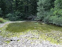 Little Spring during a dry period Mirke Slovenia - Little Spring.JPG