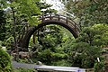 * Nomination Moon bridge in Japanese Tea Garden (San Francisco) --TheTokl 19:58, 12 June 2017 (UTC) * Decline The branches to the right of top center are severely out of focus/pixelated. Objects behind and in front of them are in much better focus. Sorry.PumpkinSky 12:59, 14 June 2017 (UTC)