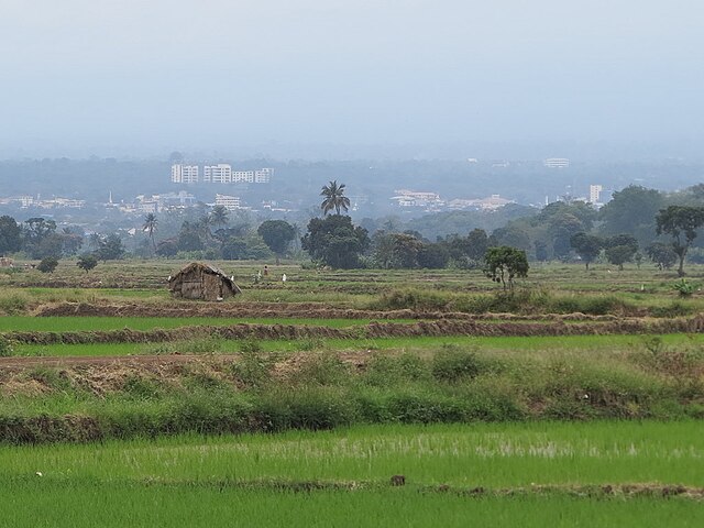 Moshi CBD as seen from Lower Moshi rice fields.