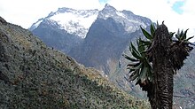 Glaciers on the Rwenzori Mountains, like these on Mount Speke, are melting due to climate change. Mt.Speke2008.jpg