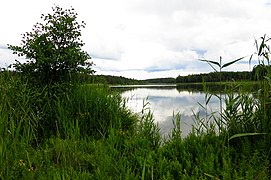 Mudsina järv