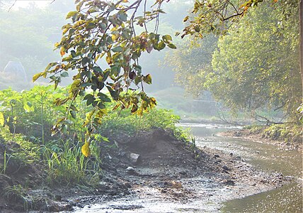 Mula river - A cursed beauty Photographer: Virashree