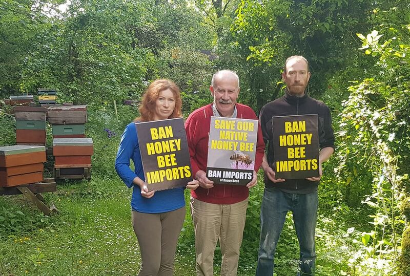 File:NIBHS posters sayng "Ban Honey Bee Imports".jpg