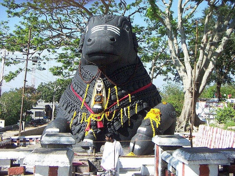 File:Nandi.JPG