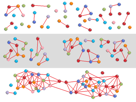 Self-organization of a network, based on Nagler, Levina, & Timme, (2011)[31]