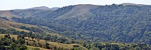 Ngel Nyaki Forest Reserve on the Mambilla Plateau Nigeria, Taraba State, Mambilla Plateau, Ngel Nyaki Forest Reserve, 2012.jpg