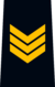 OPP Sergeant.png