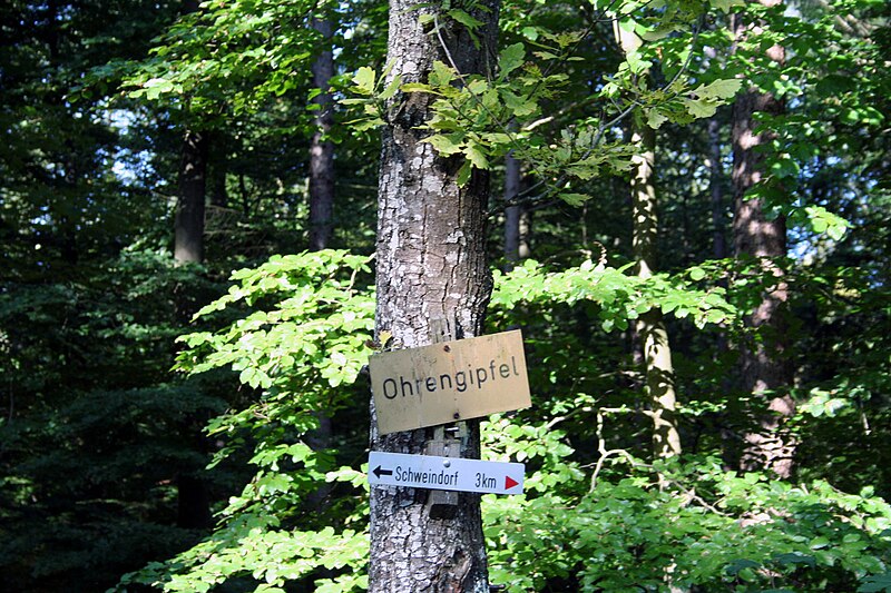 File:Ohrengipfel3.jpg