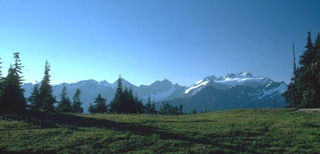 <span class="mw-page-title-main">Olympic Mountains</span> Mountain range in Washington, United States