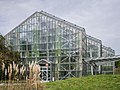 * Nomination Tropical glasshouse in the Botanical Garden. Osnabrück, Lower Saxony, Germany --Basotxerri 15:06, 21 June 2017 (UTC) * Promotion  Support Good quality.--Famberhorst 15:54, 21 June 2017 (UTC)