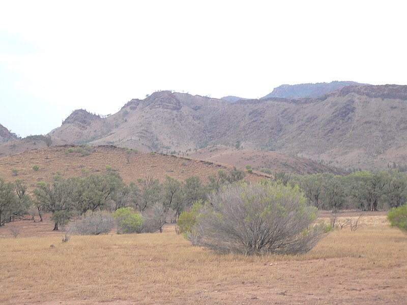 File:Outback Trip - Parachilna Gorge 2 (4157150593).jpg