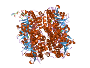 PDB 2hw5 EBI.png