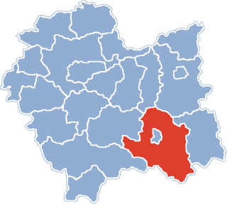 Nowy Sącz County County in Lesser Poland Voivodeship, Poland