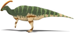 A Parasaurolophus walkeri rekonstrukciója