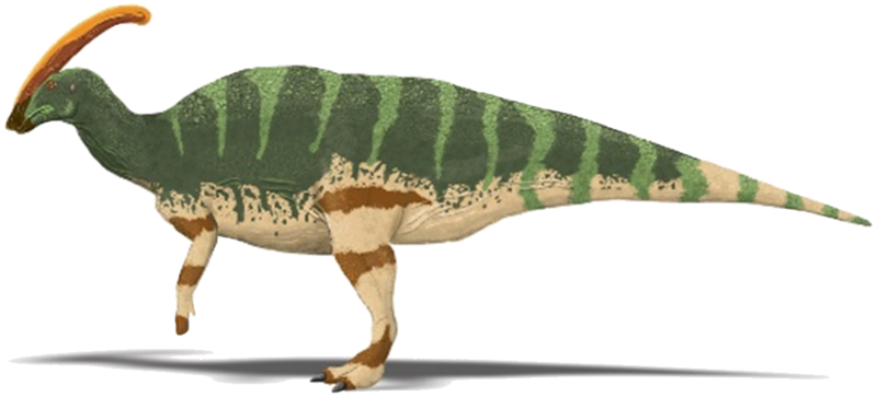 File:Parasaurolophus walkeri.png