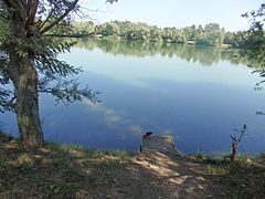 Italiano: Parco delle cave, Milano. Anatra.