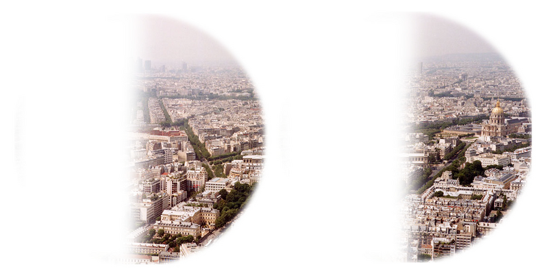 File:Paris as seen with left homonymous hemianopsia.png