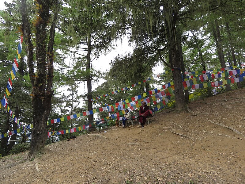 File:Paro Taktsang, Taktsang Palphug Monastery, Tiger's Nest -views from the trekking path- during LGFC - Bhutan 2019 (13).jpg