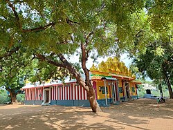 Parvathiamman Temple.jpg