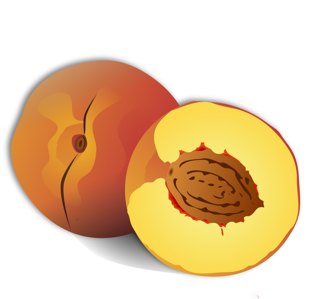 File:Peach.svg - Wikipedia.