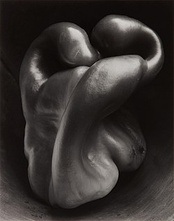 Pepper No. 30 (1930) by Edward Weston. Posthumous print by his son Cole Weston. Pepper No. 30.jpg