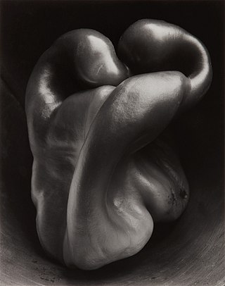 Pepper No. 30, 1930 photograph of a green pepper by Edward Weston.