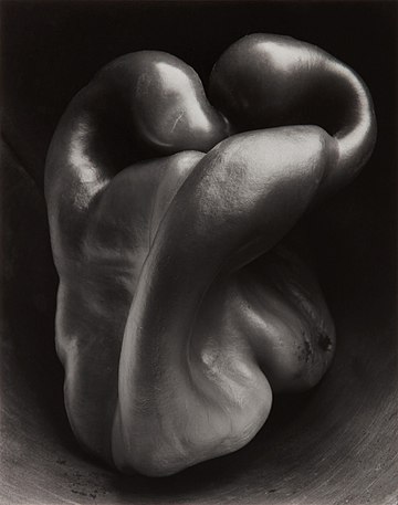 Pepper No. 30, uma das fotografias em preto e branco de 1930 mais conhecidas tirada por Edward Weston e impressa por seu filho, Cole Weston. Retrata um pimentão verde solitário em ricos tons de preto e branco, com forte iluminação vinda de cima. A maioria das gravuras originais feitas por Weston estão agora em museus. (definição 1 577 × 1 577)