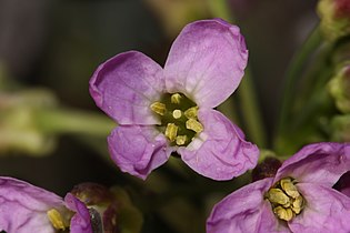 Umtanum Creek Recreation Area