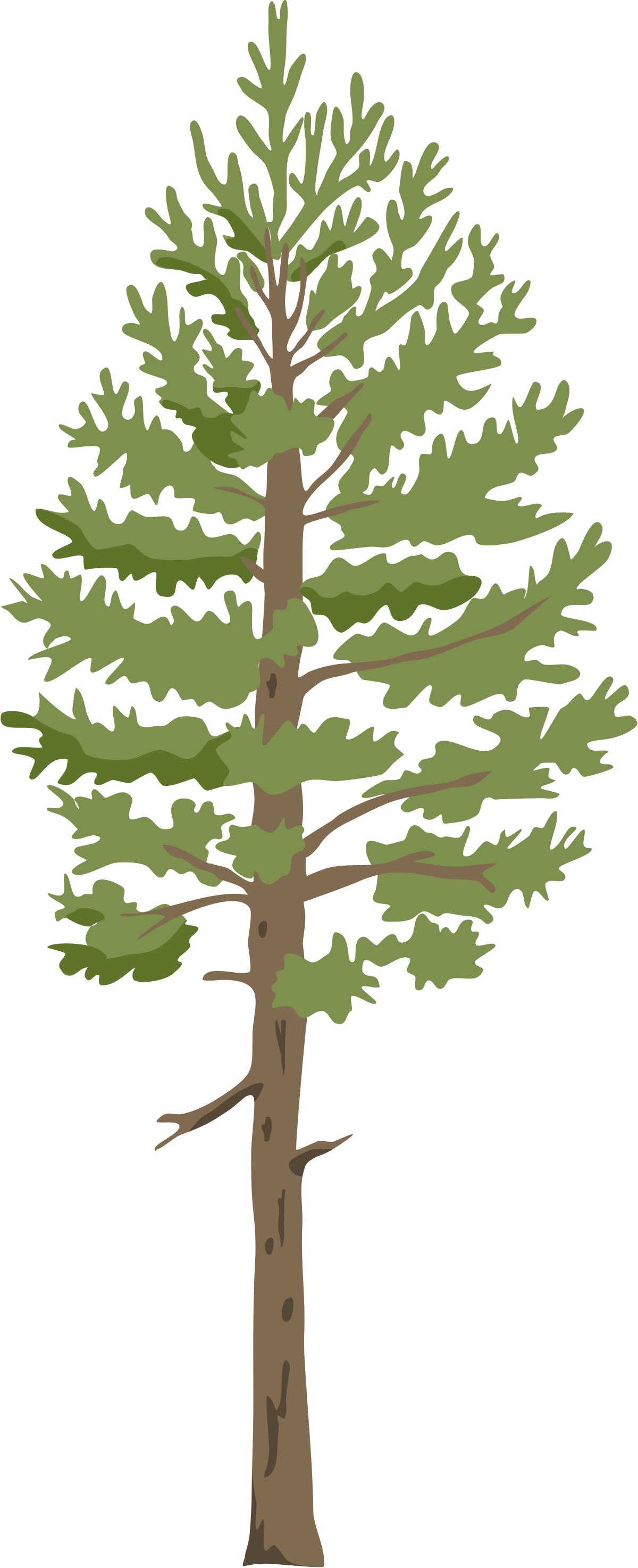 Silhouette Pine Trees SVG Cut file by Creative Fabrica Crafts · Creative  Fabrica