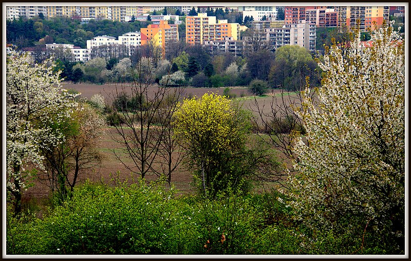 File:Pohled z kvetoucího sadu - panoramio.jpg