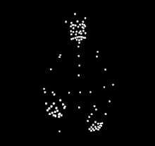 An example of a point light display of an American Sign Language sentence. The biological motions of the signer can be observed through the motions of white dots, as they sign a sentence. Point Light Display of ASL sentence.gif